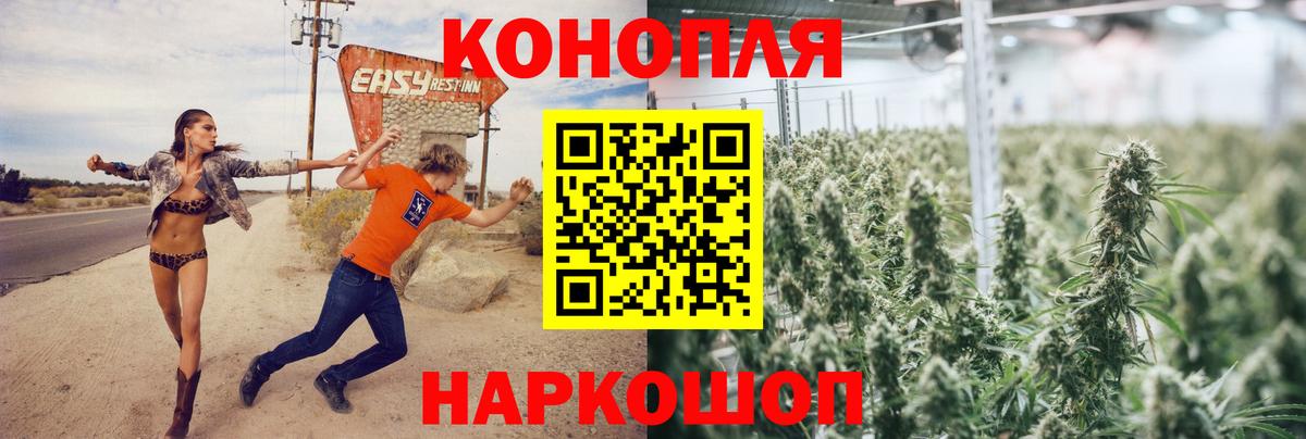 Бошки Шишки семена  Вход с VPN  Марихуана OG Kush  Бошки марихуана планчик  Тосно 